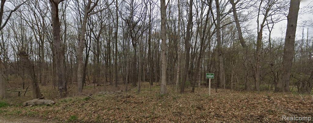 Parcel 2 Leaf Lane, Freeport, MI, 49325
