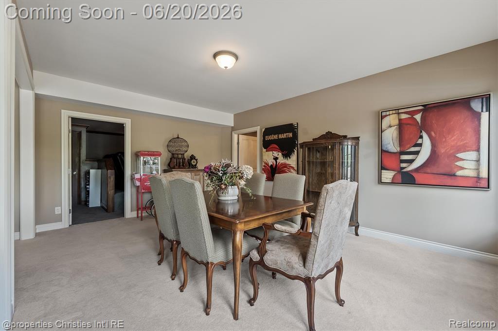 595 Ridge Point Drive, Dundee, MI 48131 — Photo 39