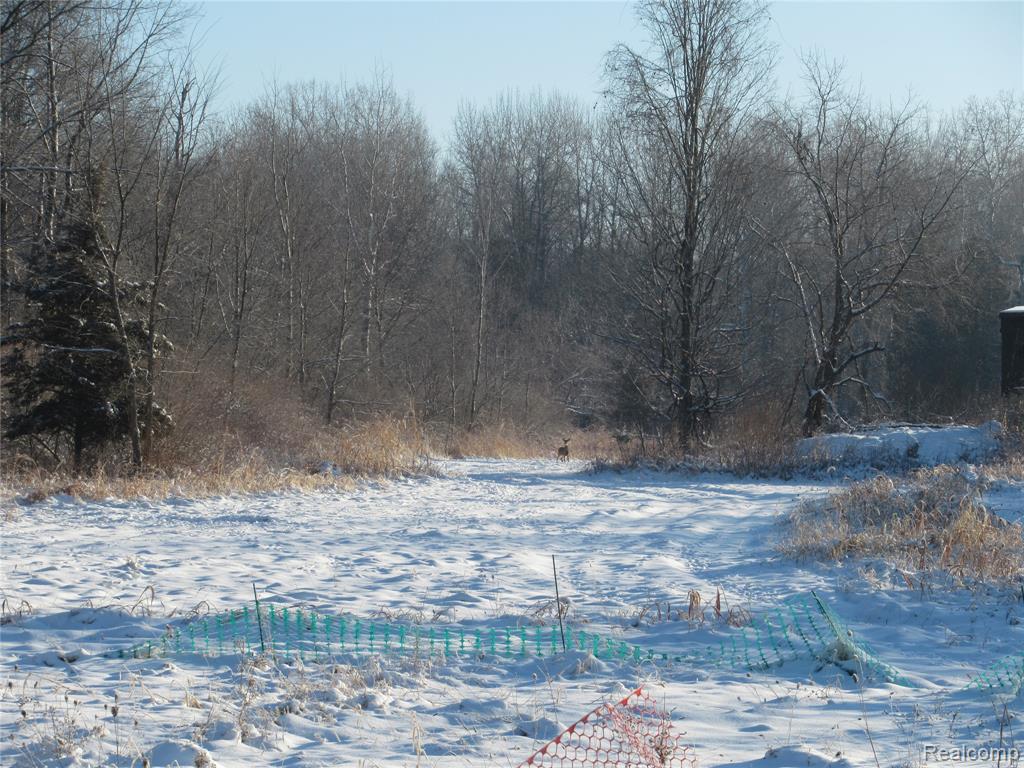 VACANT LAND S. PLAIN Road, Caro, MI 48723 — Photo 2