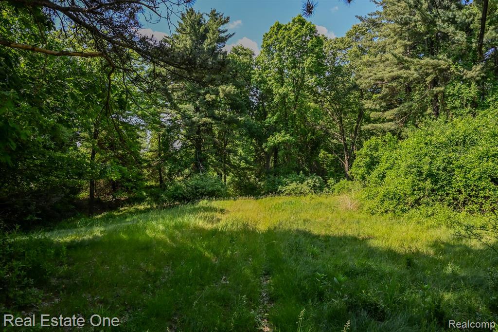 1832 W Commerce Road - Photo 3