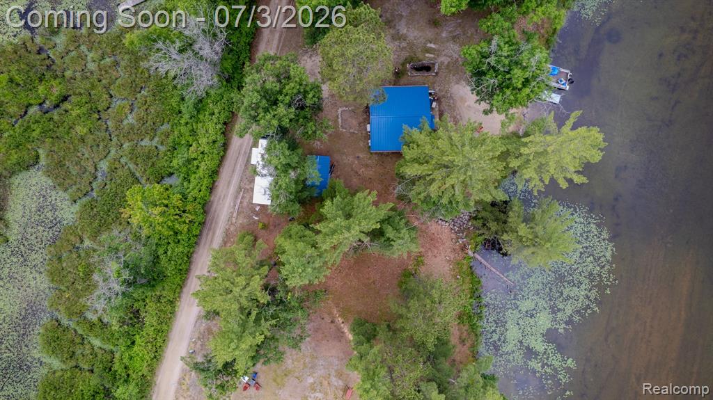 8272 Paradise Drive, South Branch, MI 48761 — Photo 31