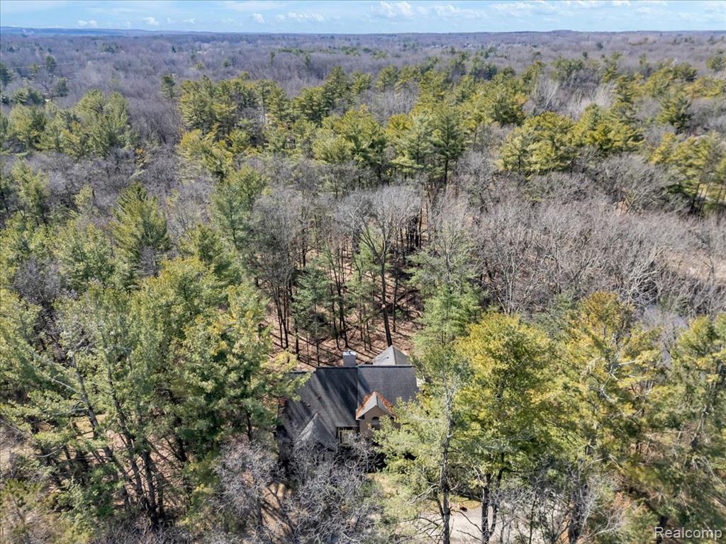 573 NAKOMIS Trail, Orion, MI 48362 — Photo 66