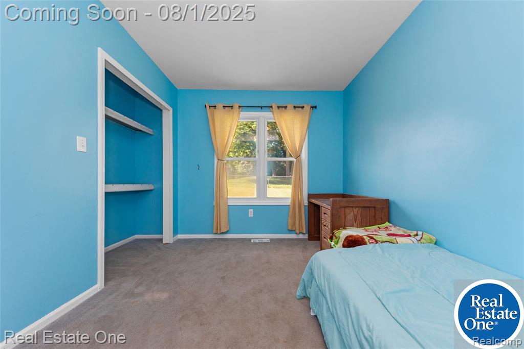 6074 Three Lakes Drive, Brighton, MI 48116 — Photo 17