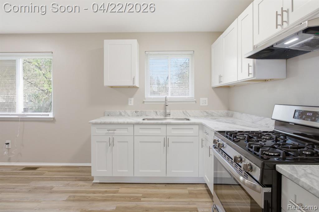 28521 Oakwood Street, Inkster, MI 48141 — Photo 13