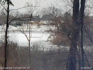 1009 Tall Pines Trail, Highland, MI 48356 — Photo 94