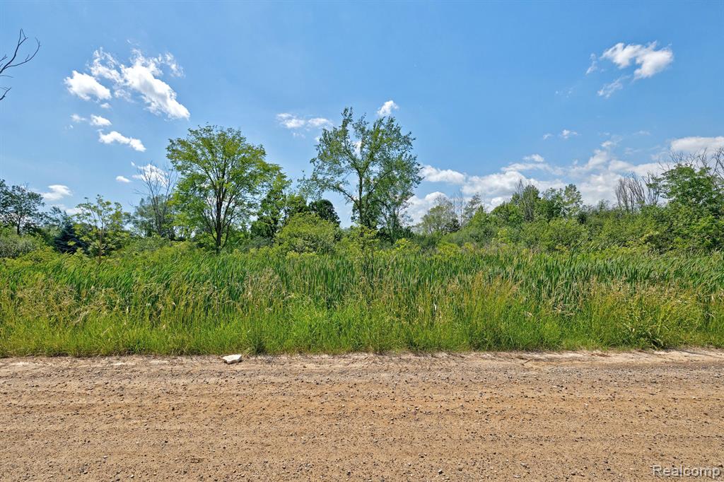 Vacant Land Brandt Road, Ortonville, MI 48462 — Photo 18