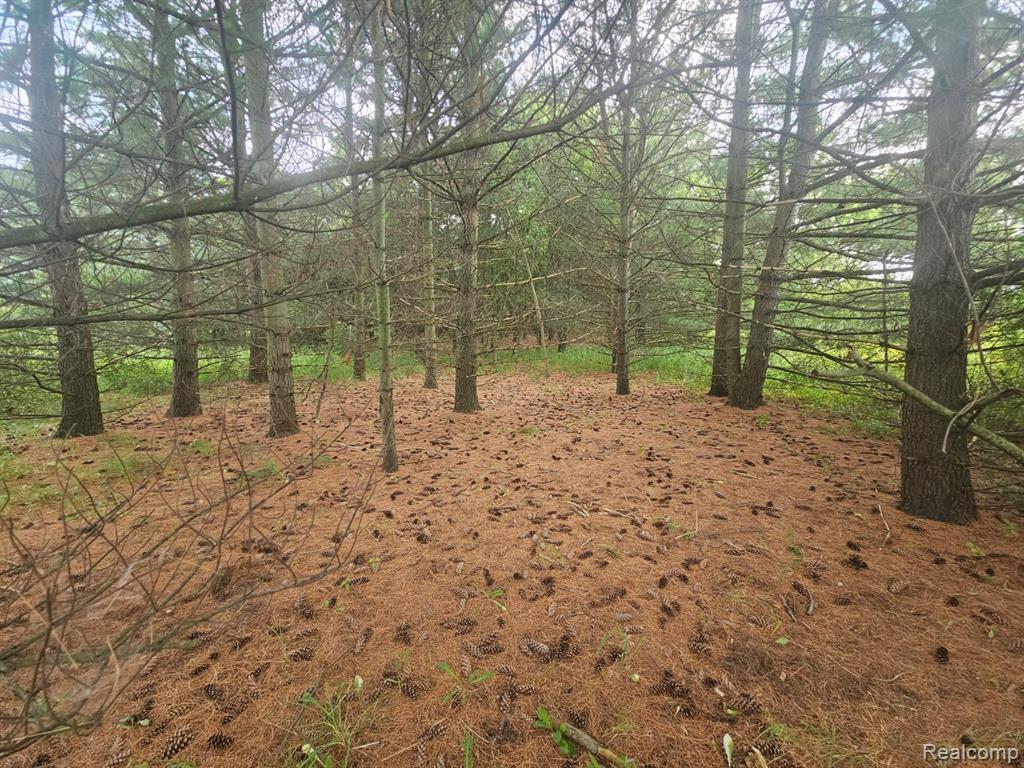 VL Millville Road, Lapeer, MI 48446 — Photo 7