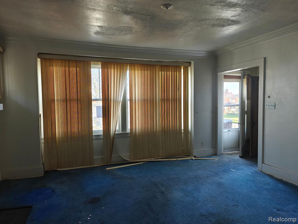 4317 VIRGINIA PARK Street, Detroit, MI 48204 — Photo 2