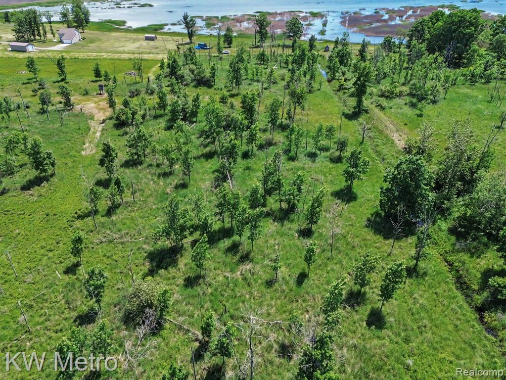 N/A Swenson Road, Au Gres, MI 48703 — Photo 7