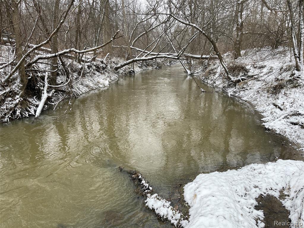 NHN Grand Blanc Road, Gaines Vlg, MI 48436 — Photo 3