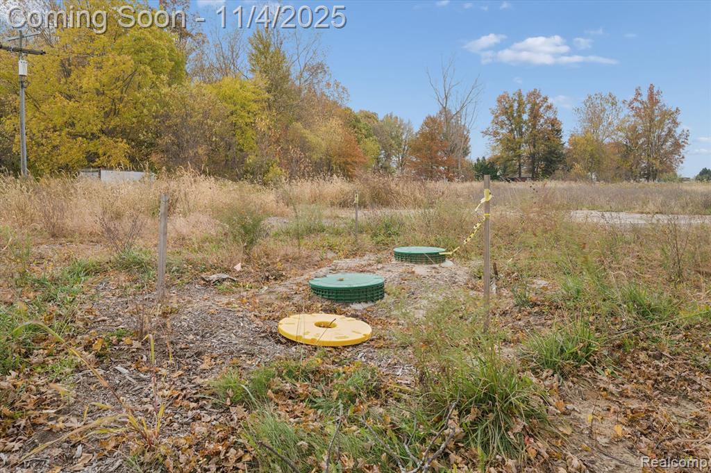 9200 Platt Road, Dundee, MI — Photo 17