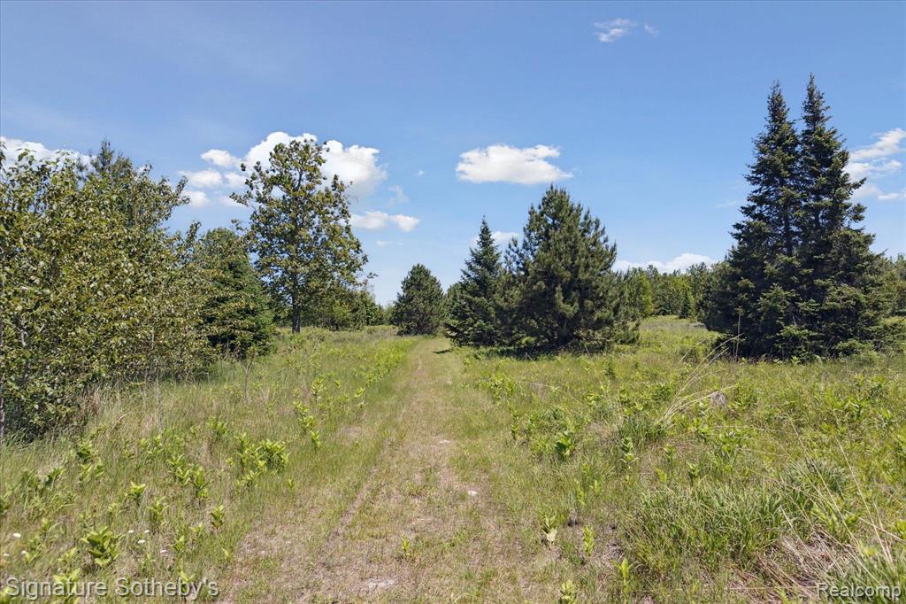 9842 Misery Bay, Alpena, MI 49707 — Photo 74