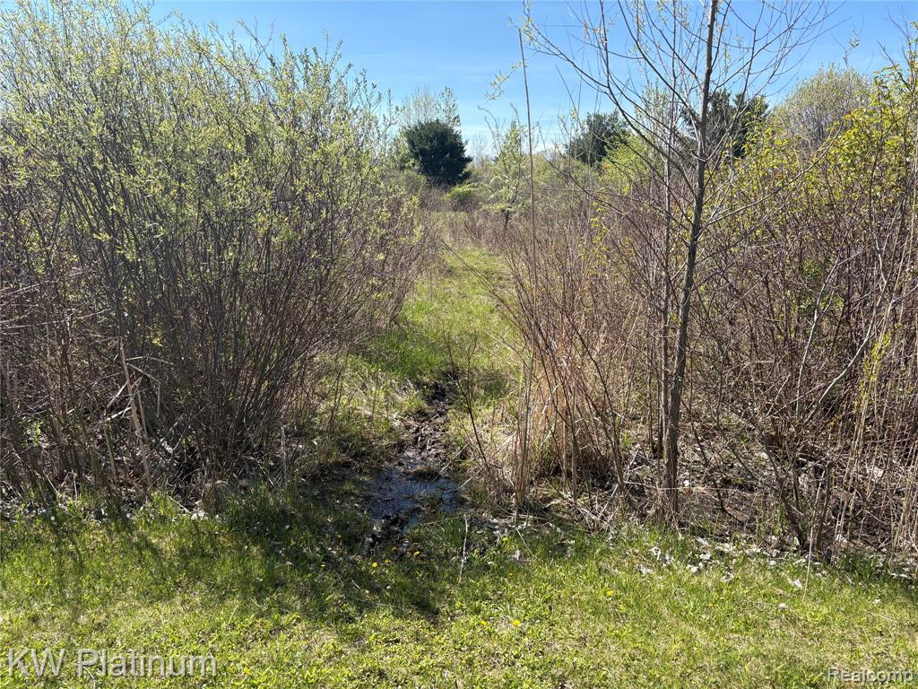 Parcel C Wicha Drive, Burtchville, MI 48059 — Photo 21