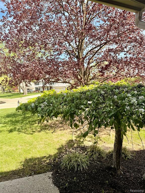 31018 Pickwick Lane, Beverly Hills, MI 48025 — Photo 8