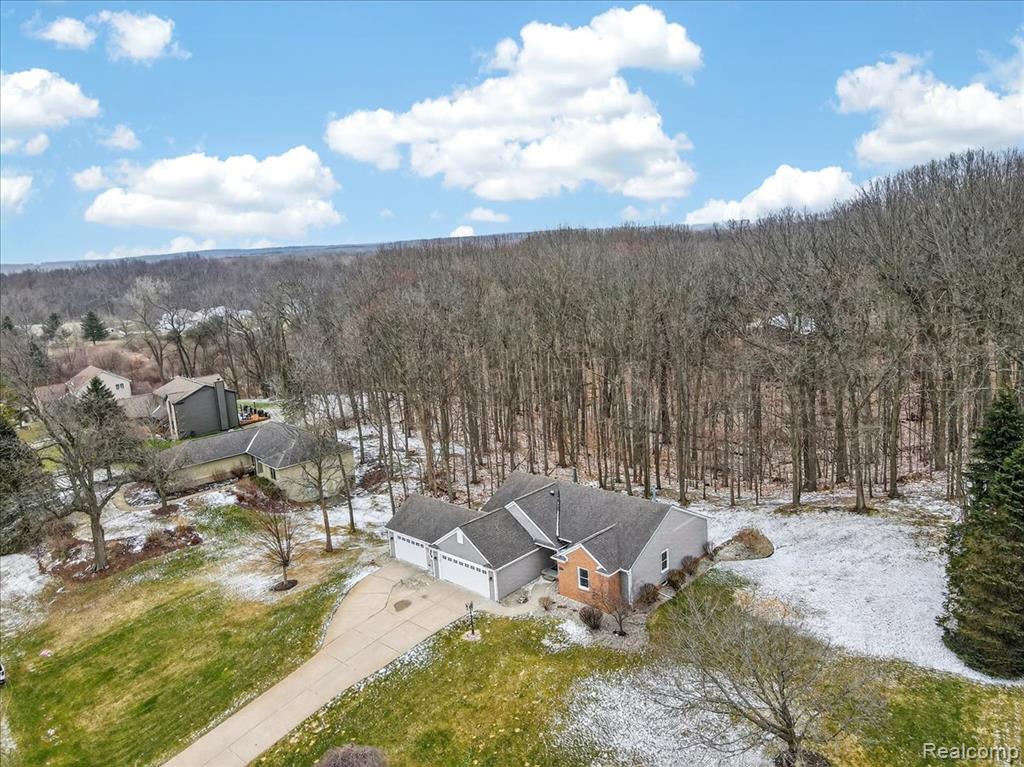 6828 Country Lane Drive, Davisburg, MI 48350 — Photo 28