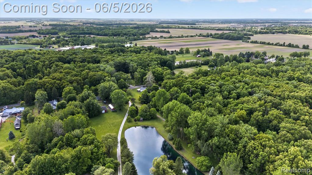 2083 Wells Road, Dundee, MI 48131 — Photo 53