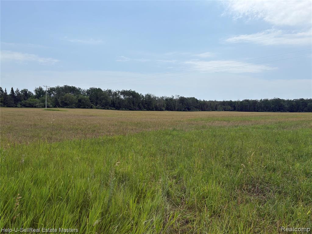 9999 W. Hubert rd Road, Hubbard Lake, MI 49747 — Photo 3