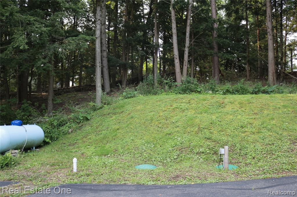 4122 Pinnacle Drive, Omer, MI 48749 — Photo 5