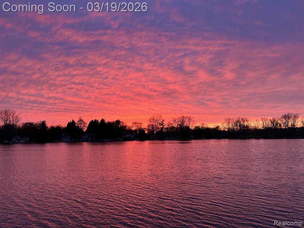 1962 Lake Pointe Drive, Ortonville, MI 48462 — Photo 37