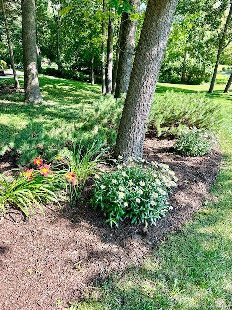 5259 PINEWOOD Drive, Brighton, MI 48116 — Photo 65