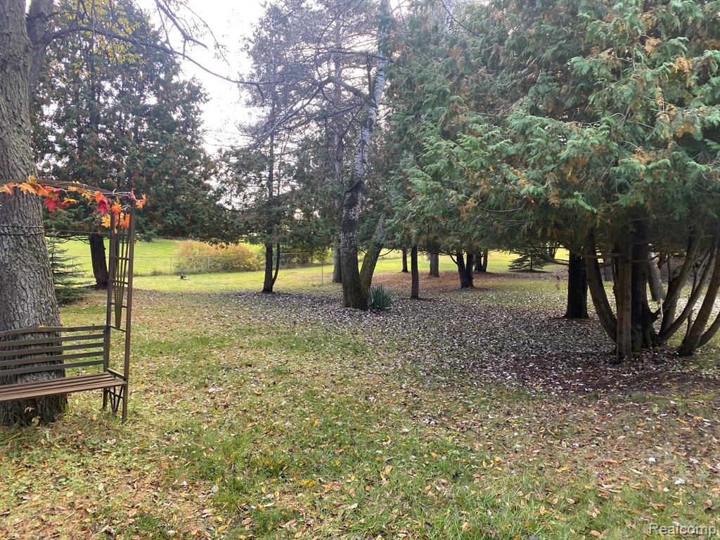 3979 HAINES Road, Attica, MI 48412 — Photo 10