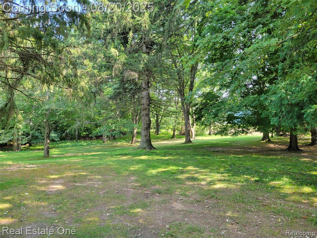 2685 Henesey Road, Imlay City, MI 48444 — Photo 9