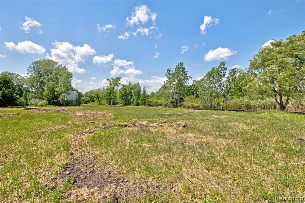 Vacant Land Brandt Road, Ortonville, MI 48462 — Photo 24