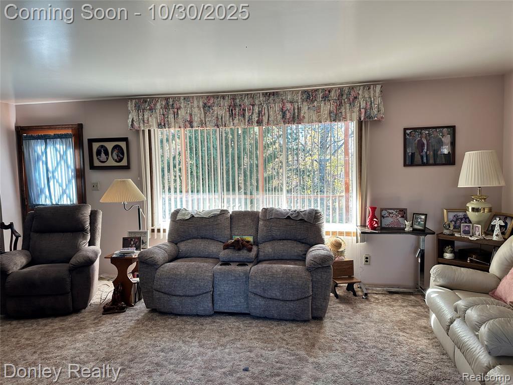 1300 N Van Dyke Road, Marlette, MI 48453 — Photo 8