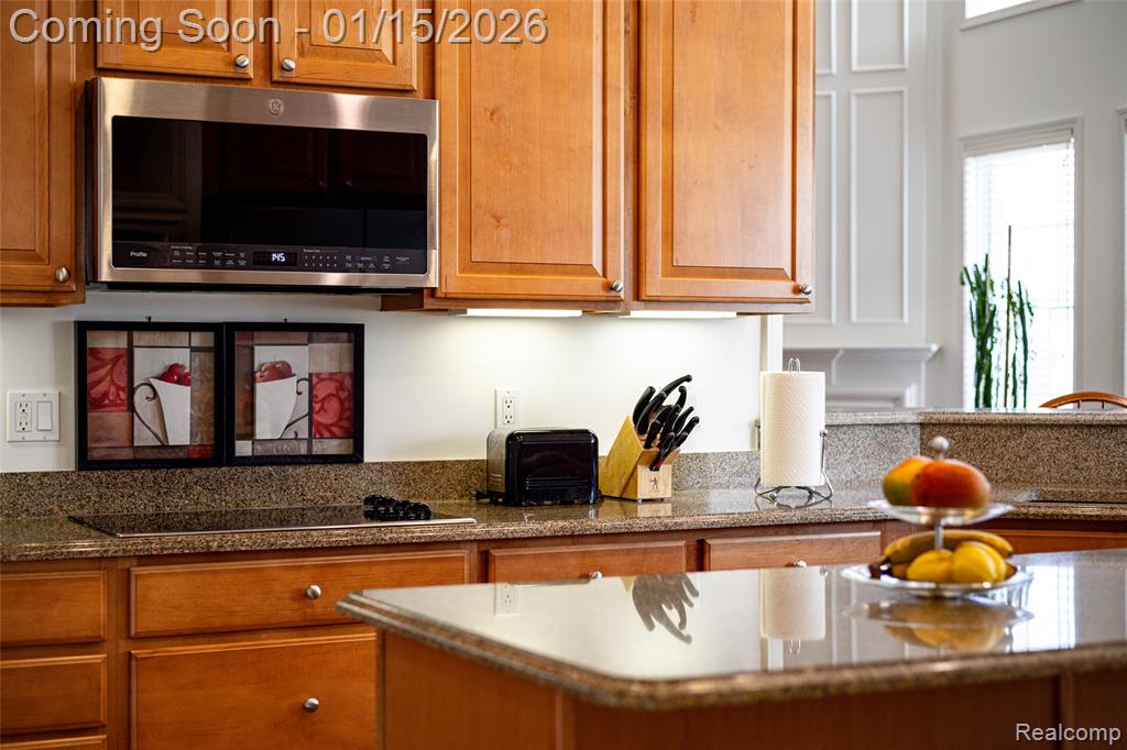 48502 Antique Road, Canton, MI 48187 — Photo 35