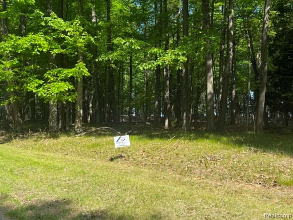Lot 16 Towering Oaks Drive, Port Austin, MI — Photo 3