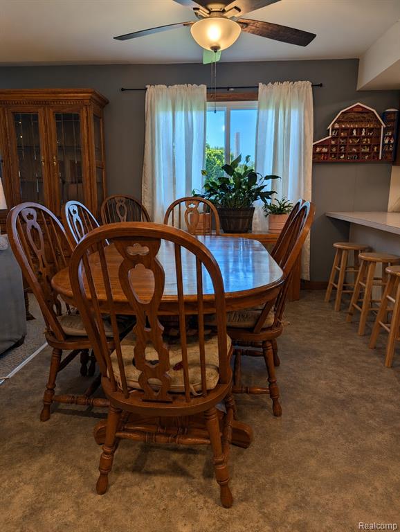 6237 Virginia Street, Cass City, MI 48726 — Photo 17