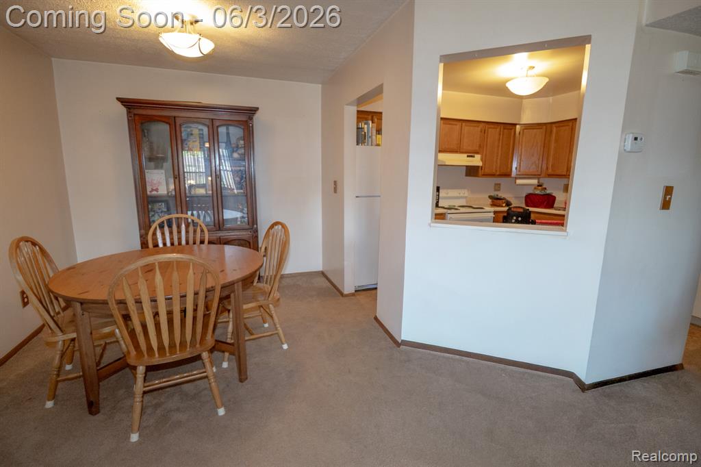 61200 Greenwood Drive, South Lyon, MI 48178 — Photo 10