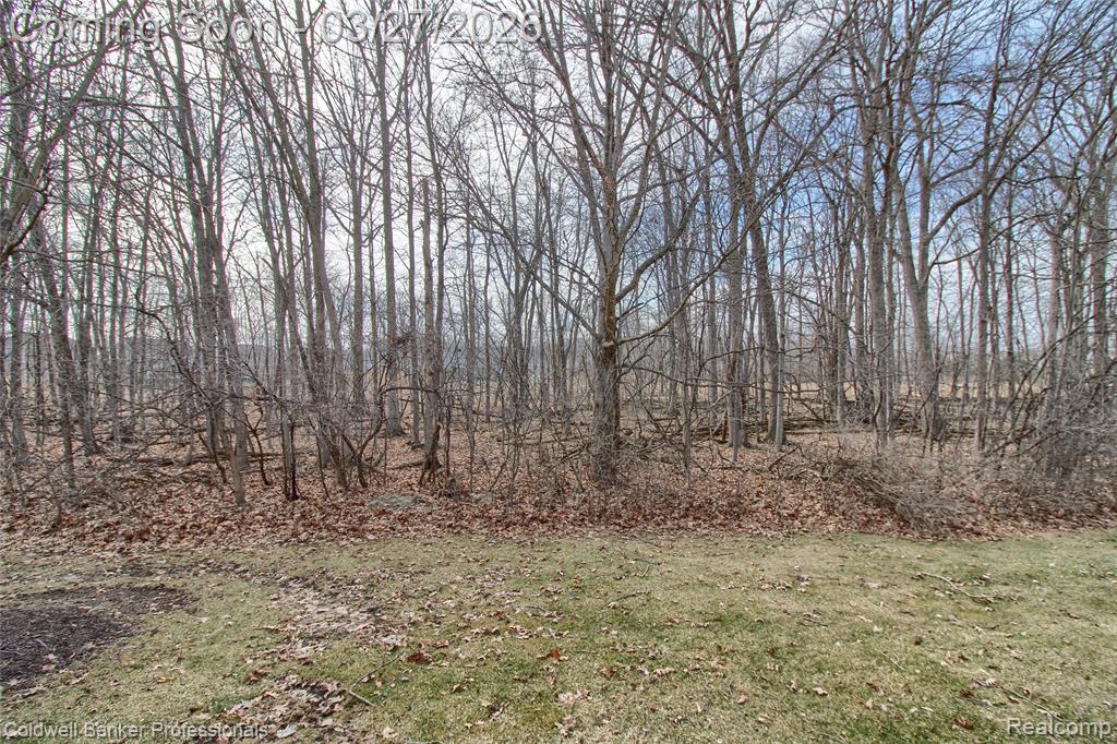 610 Cherry Grove Road, Canton, MI 48188 — Photo 31