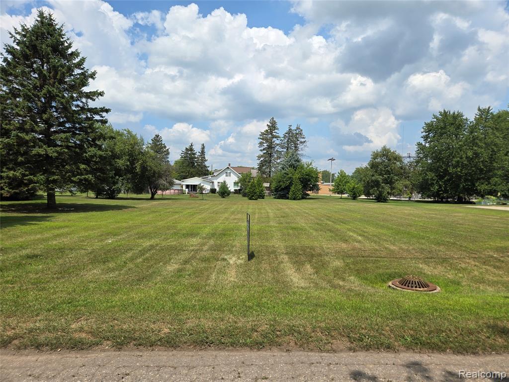V/L W Liberty Street, Chesaning, MI 48616 — Photo 4