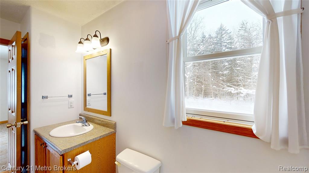 10582 E 80th Street, Reed City, MI 49677 — Photo 21