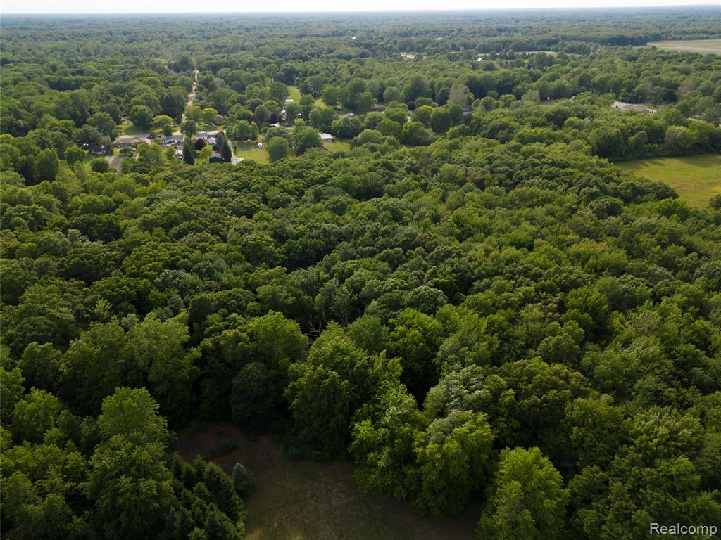 21515 Huron River Drive, New Boston, MI 48164 — Photo 56
