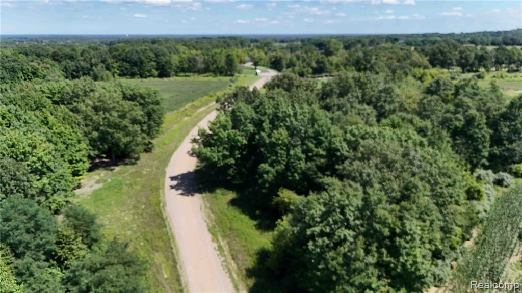Parcel 1 Sycamore St., Dryden, MI 48428 — Photo 3