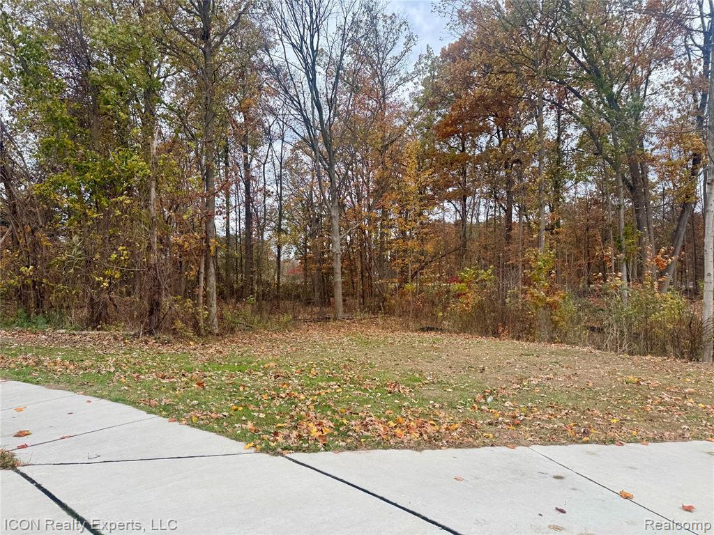 10380 Excalibur Drive, Shelby Twp, MI 48315 — Photo 3