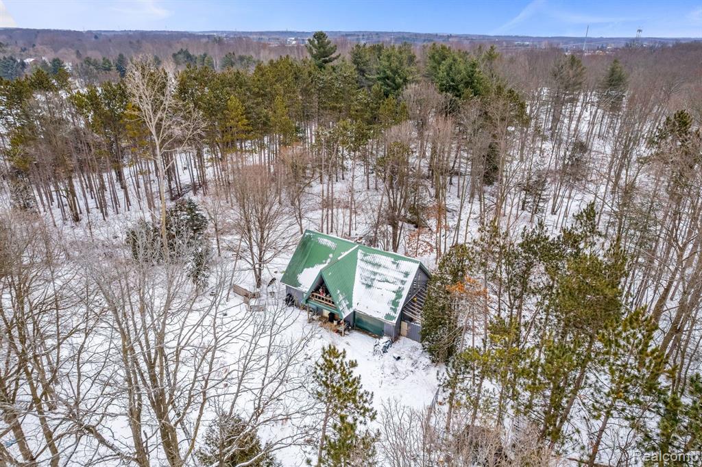 4713 BROWN Road, Kenockee, MI 48006 — Photo 66