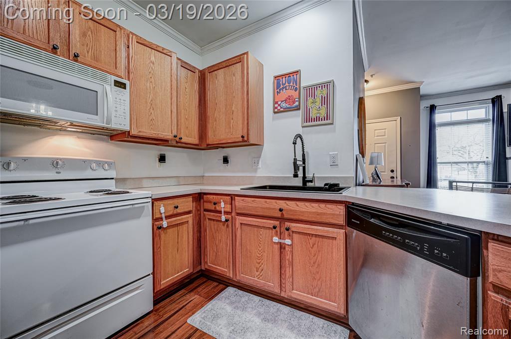 25703 Maritime Circle N, Harrison Township, MI — Photo 12