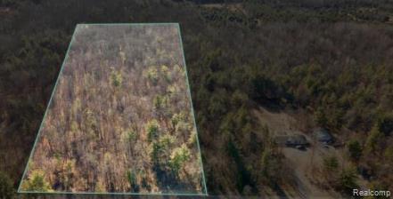 V/L S BRODIE Road, South Branch, MI 48761 — Photo 8