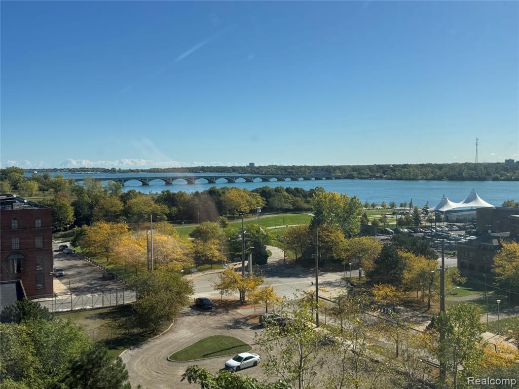 250 E Harbortown Drive, 905, Detroit, MI 48207 — Photo 11