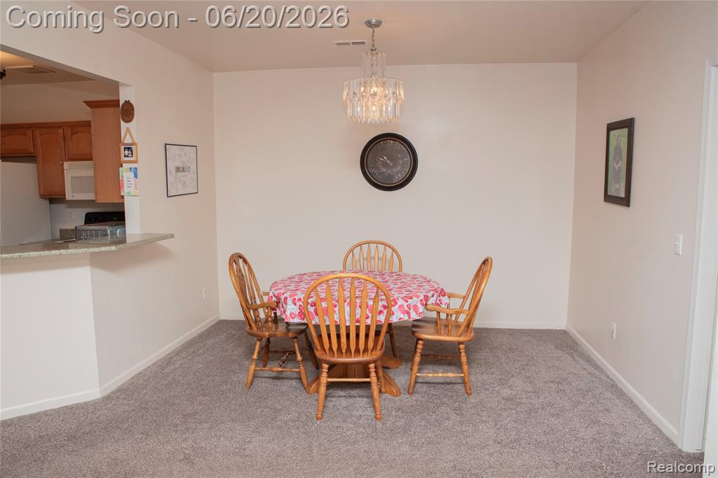 519 Cedar Street, Wyandotte, MI 48192 — Photo 11