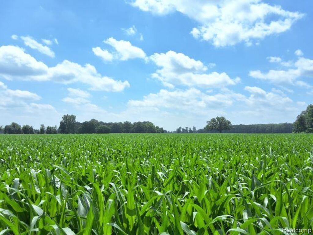 AUCTION Lot# 7 10 acres Capac Road, Capac, MI 48014 — Photo 2