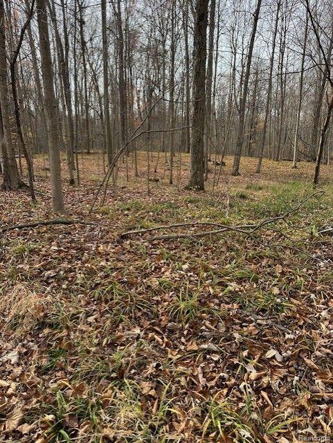 8438 JORDAN Road, Grand Blanc, MI 48439 — Photo 13