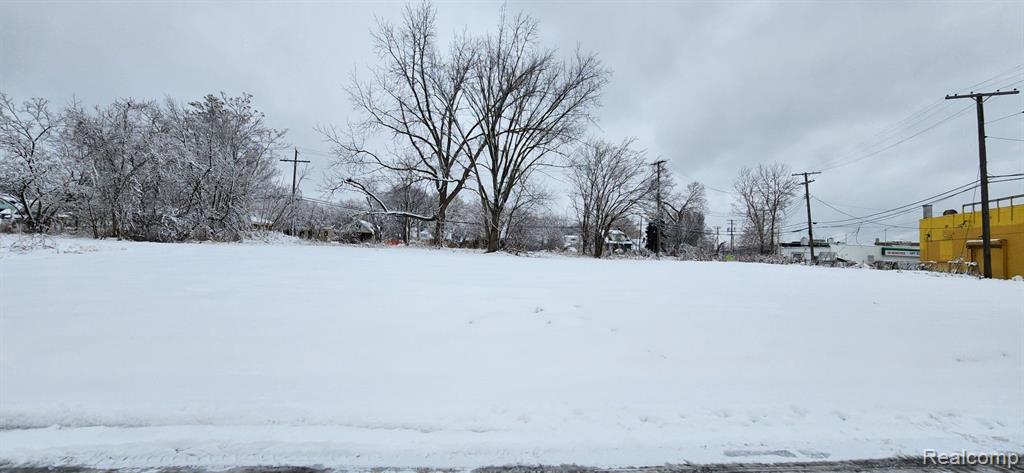 14405 MANNING Street, Detroit, MI 48205 — Photo 7