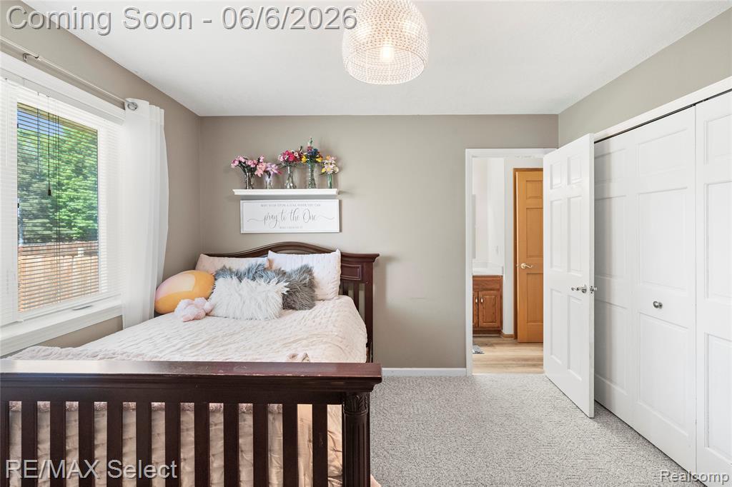 2288 Lost Creek Drive, Flushing, MI 48433 — Photo 34