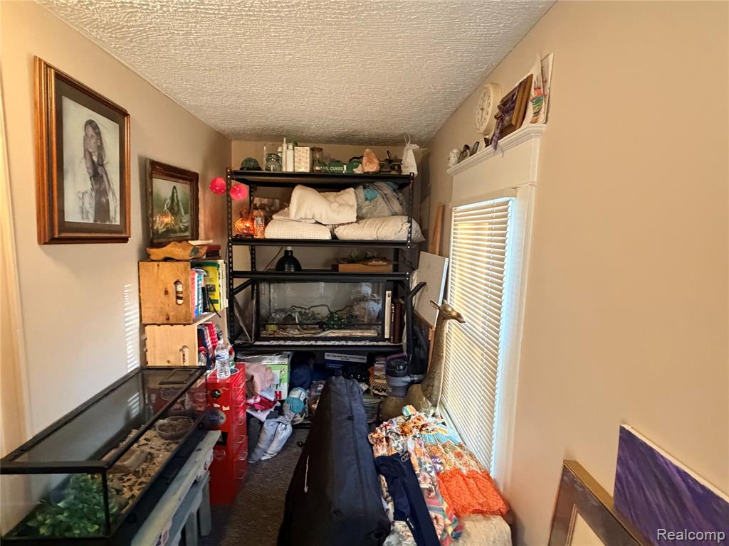 6038 Byron Road, Howell, MI 48855 — Photo 20
