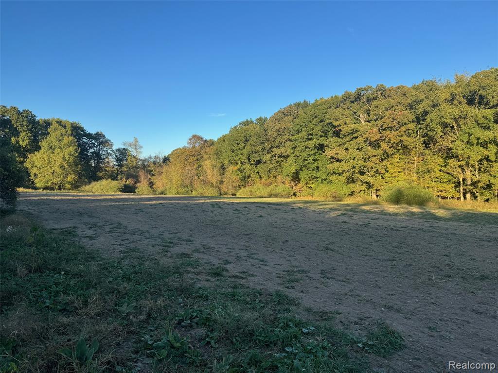 VL Rock Valley Road, Metamora, MI 48455 — Photo 10