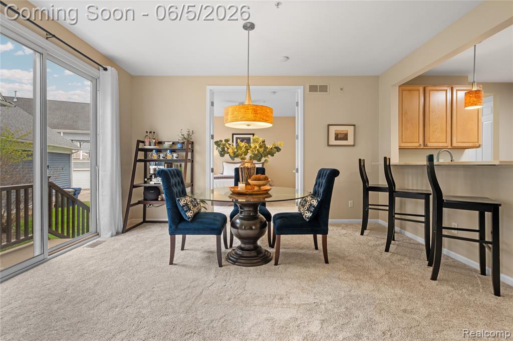 423 Patriot Street, 176, Canton, MI 48188 — Photo 17
